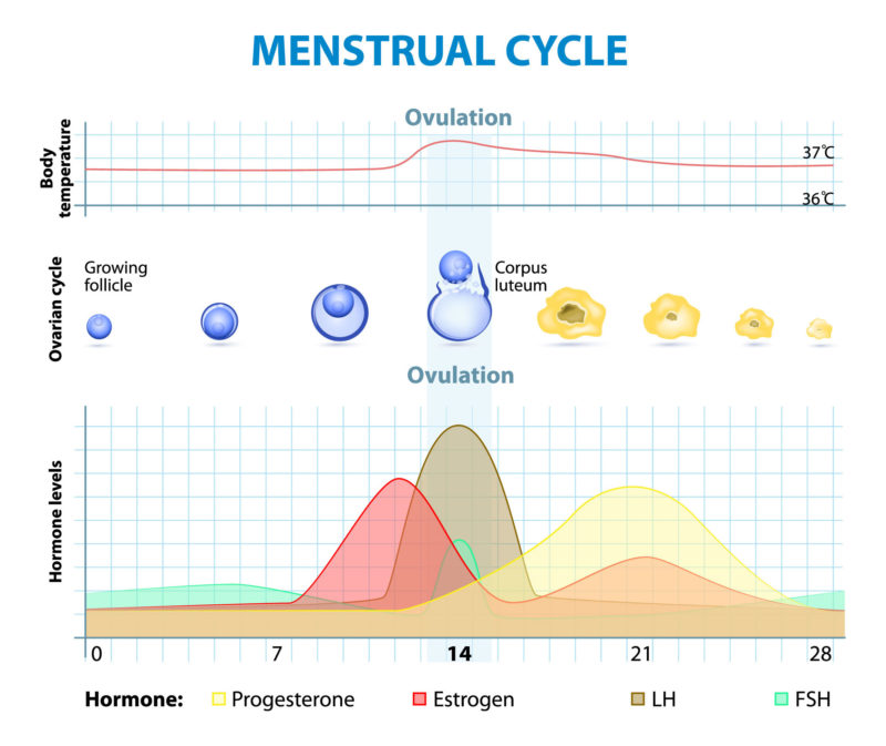 large pieces of tissue during menstruation