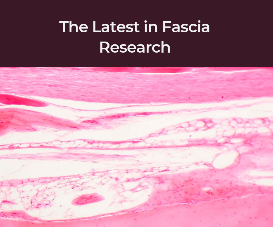 new research on fascia